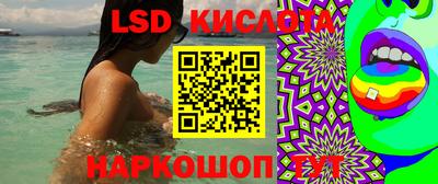 соль ск Краснодар