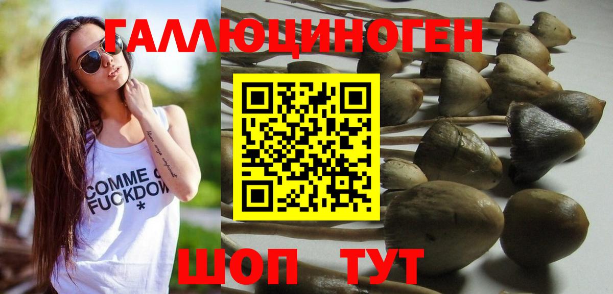 Галлюциногенные грибы Cubensis  закладка  Верхний Уфалей  Галлюциногенные грибы прущие грибы  Вход с VPN 