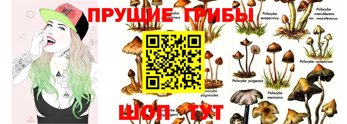 Кокаин  А ПВП СК   Вход с VPN  Верхний Уфалей  ГАШ  АМФ   Мефедрон кристаллы  ЭКСТАЗИ  Канабис  Где купить наркотики? 